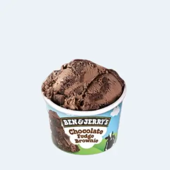 Small Ben & Jerry's Chocolate Fudge Brownie